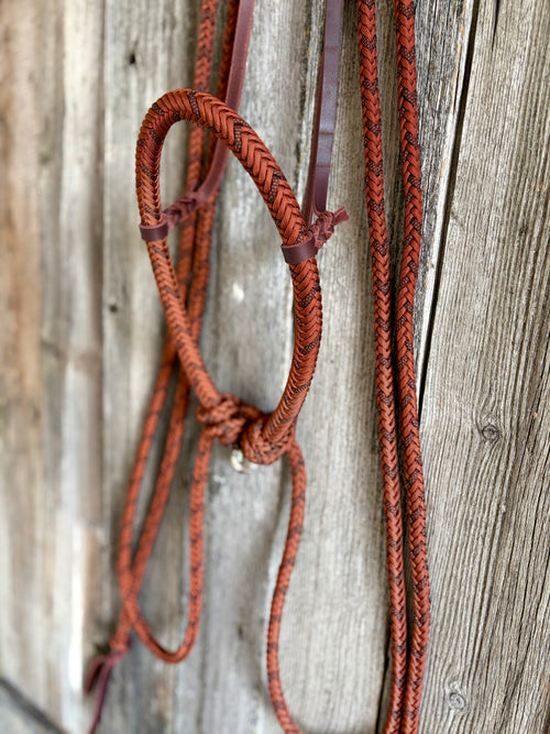 Loping Hackamore & 8 Strand Split Reins